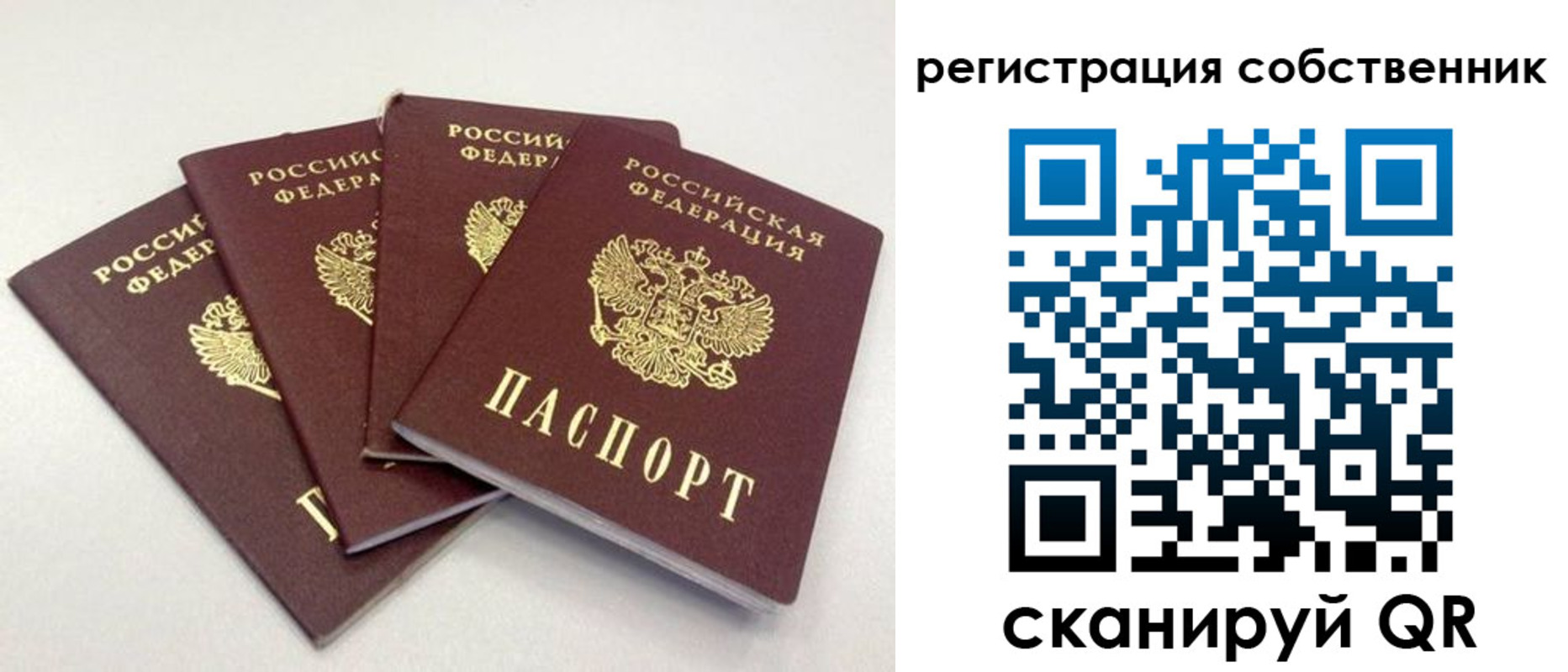 прописка для школы в Фролово